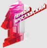 ПЕРВЫЙ ЯРОСЛАВСКИЙ